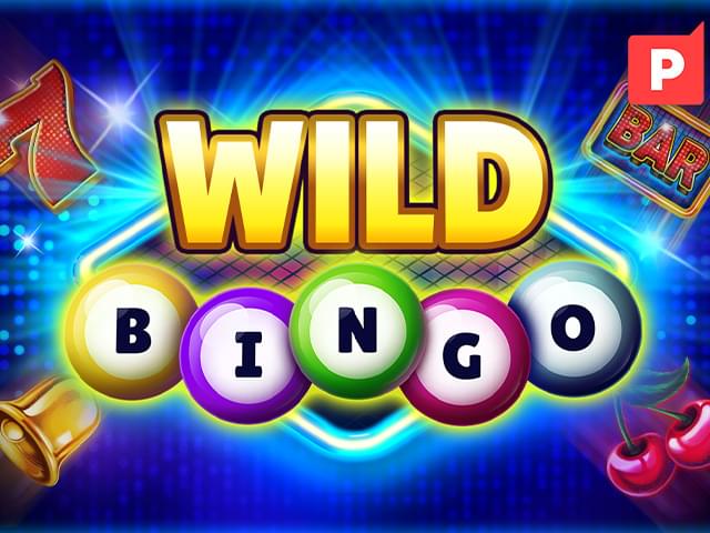 4466 bet Bingo Selvagem